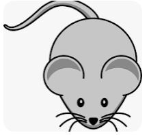 Mouse Practice